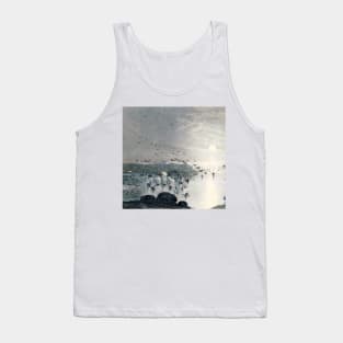 Ducks, Mallards and Swans on the lake at sunset Tank Top